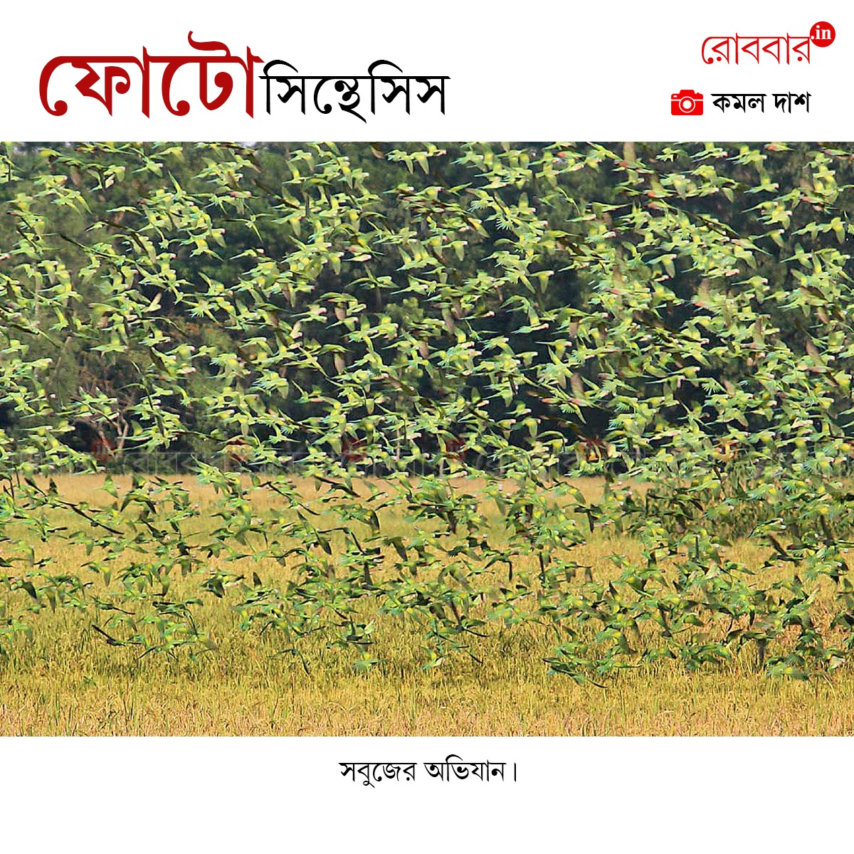 ফোটোসিন্থেসিস-898