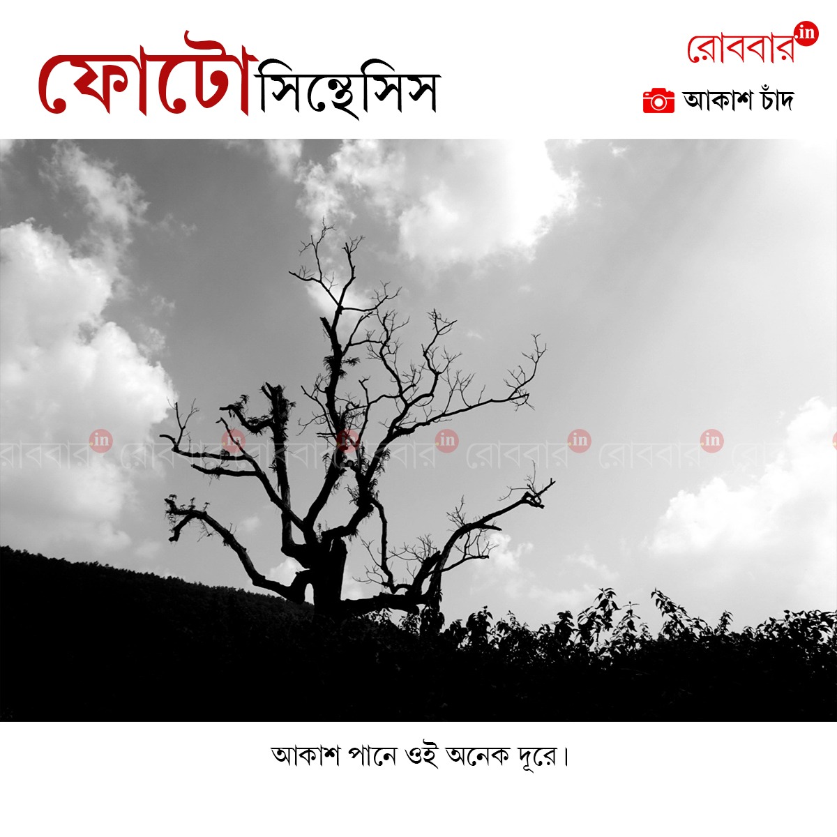 ফোটোসিন্থেসিস-899