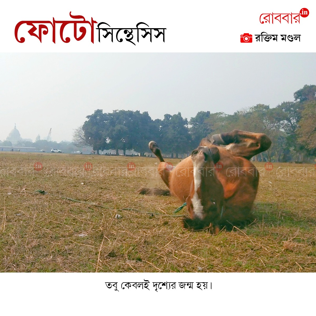 ফোটোসিন্থেসিস-902