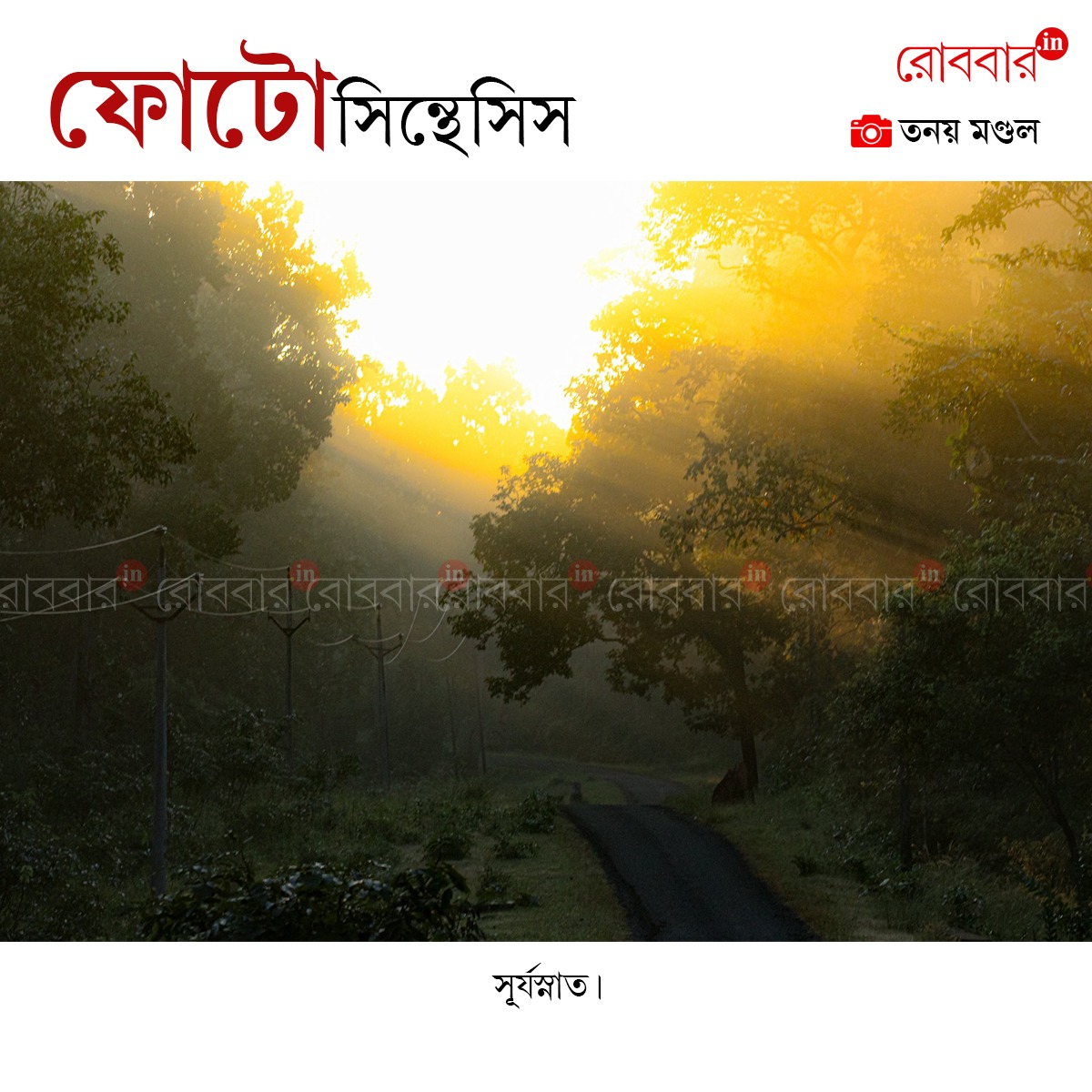 ফোটোসিন্থেসিস-903