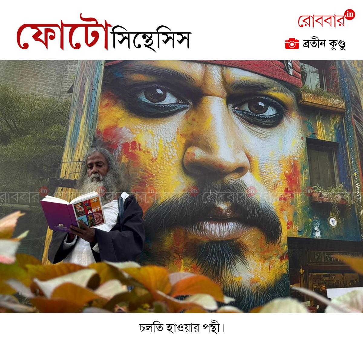 ফোটোসিন্থেসিস-904