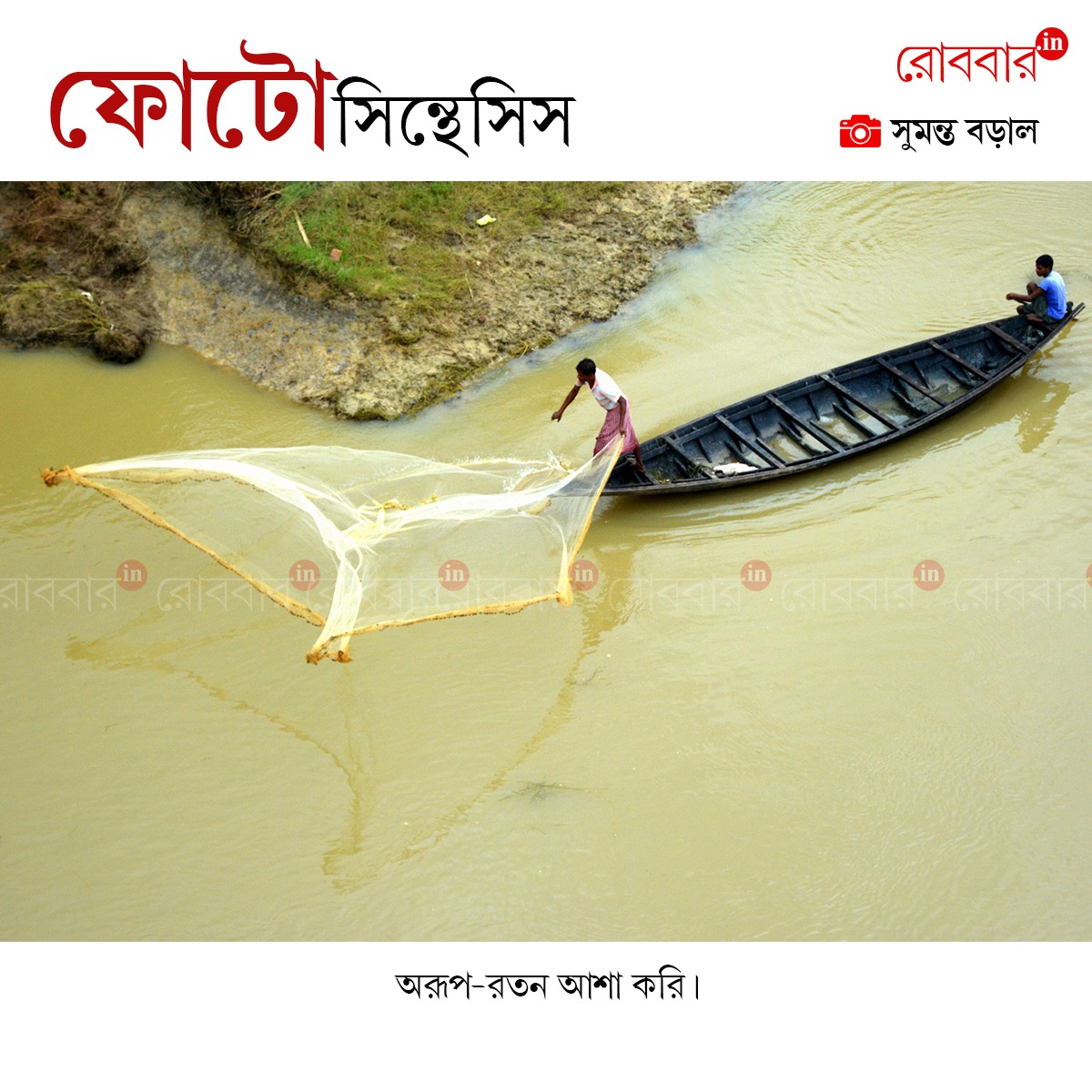ফোটোসিন্থেসিস-907