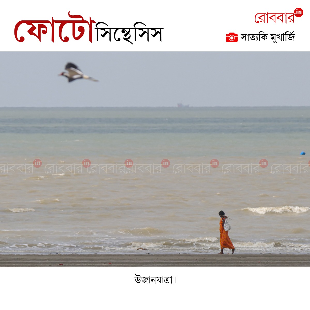 ফোটোসিন্থেসিস-908