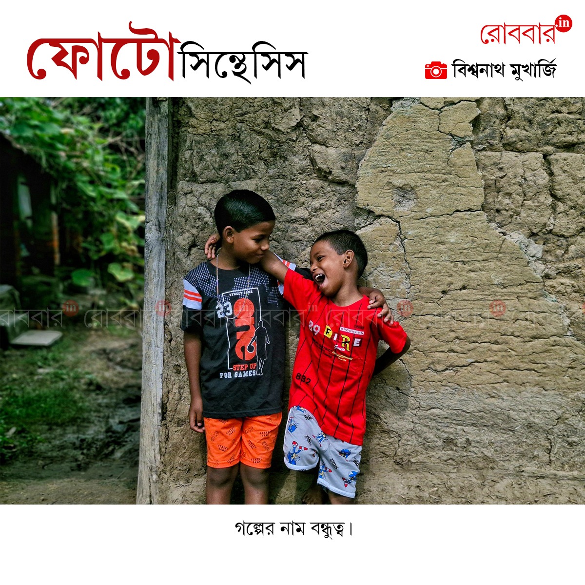 ফোটোসিন্থেসিস-909