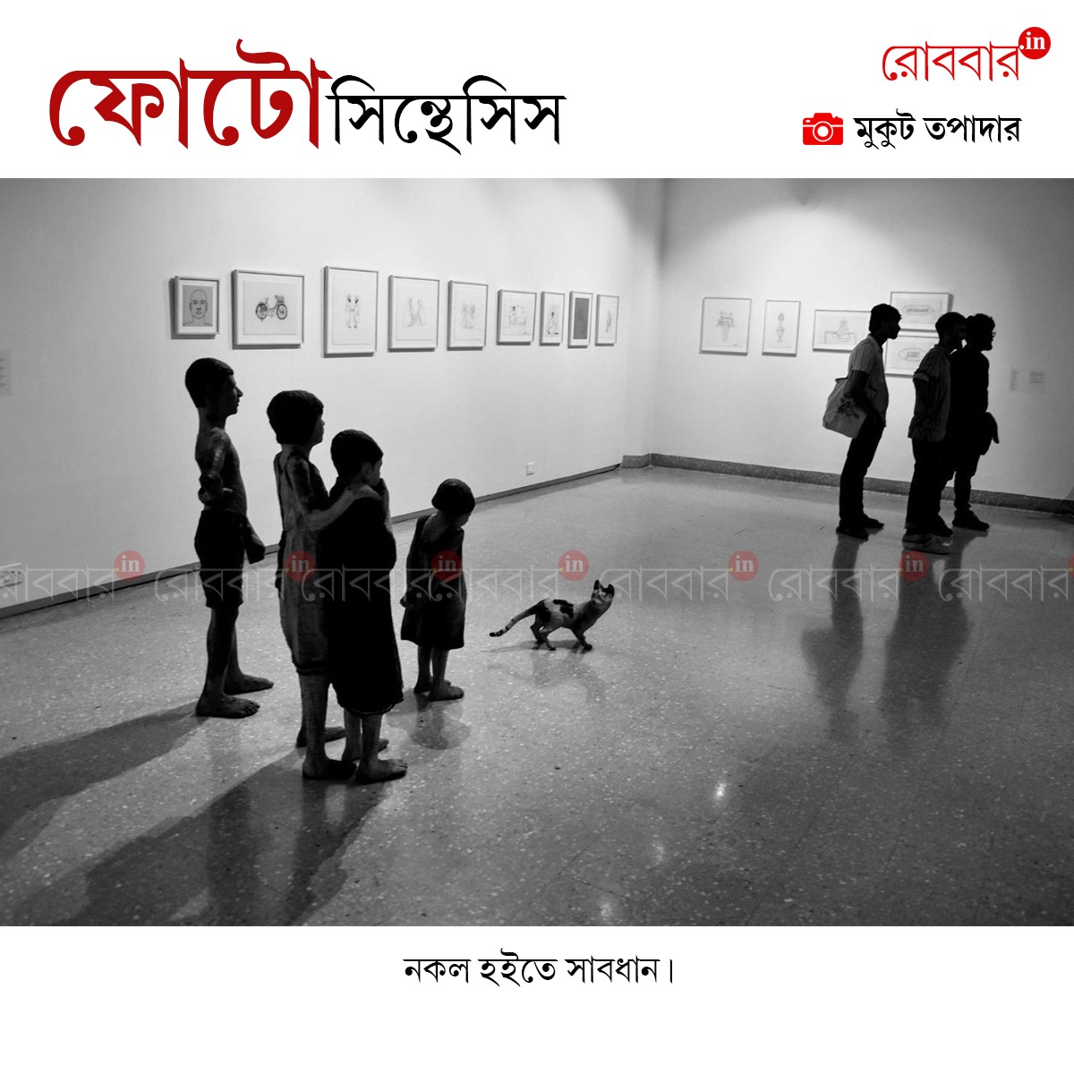 ফোটোসিন্থেসিস-911