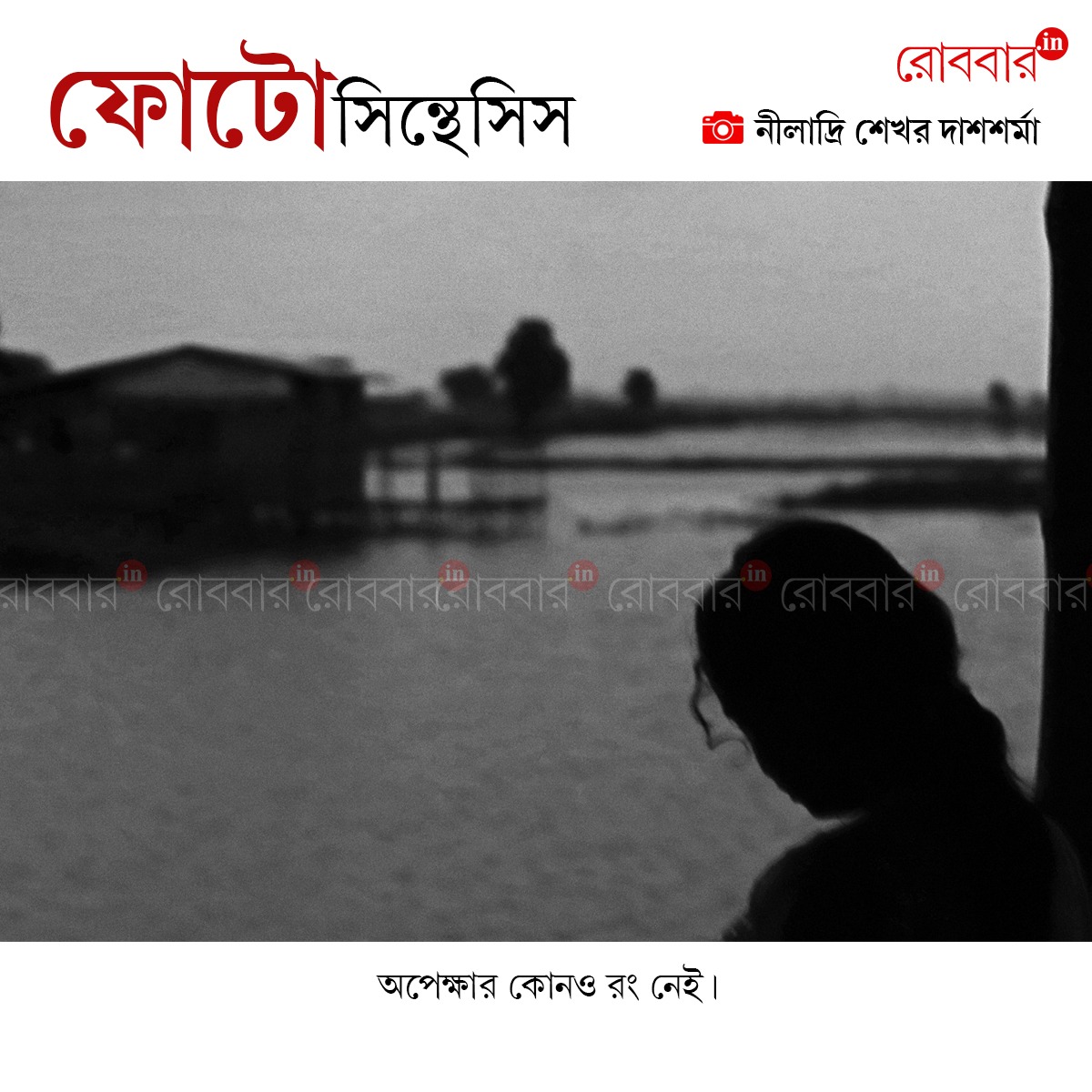 ফোটোসিন্থেসিস-912