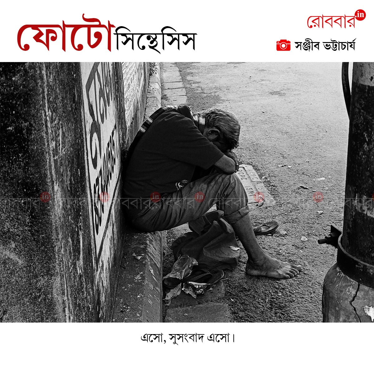 ফোটোসিন্থেসিস-914