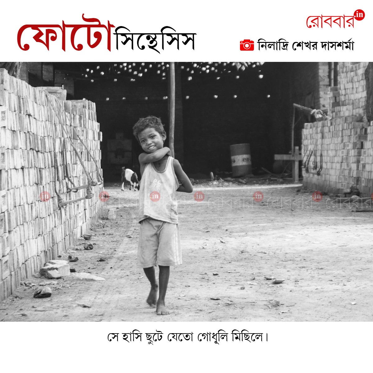 ফোটোসিন্থেসিস-915