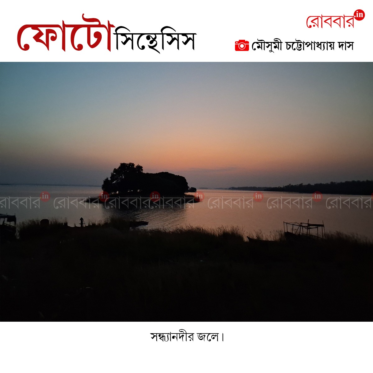 ফোটোসিন্থেসিস-918