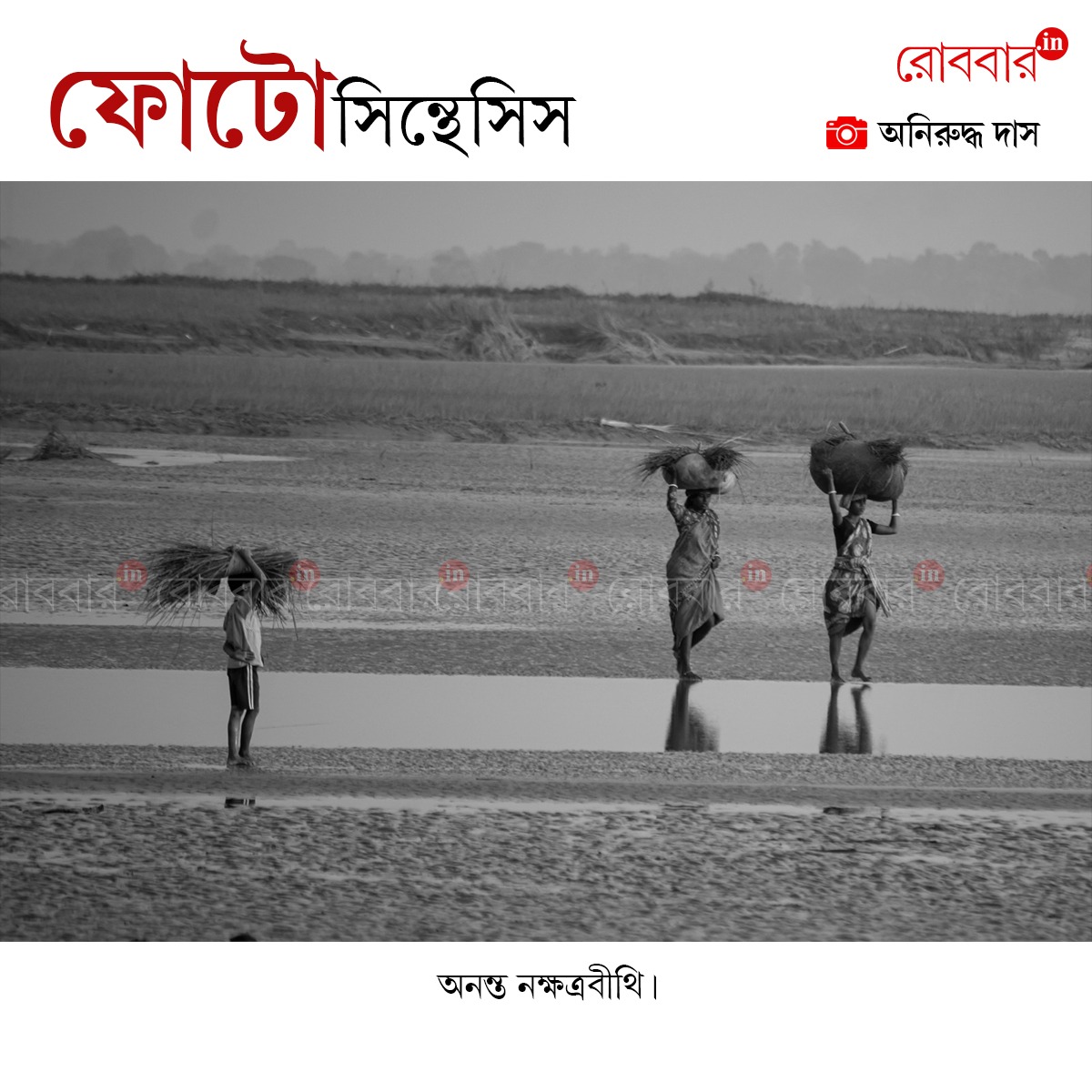 ফোটোসিন্থেসিস-919