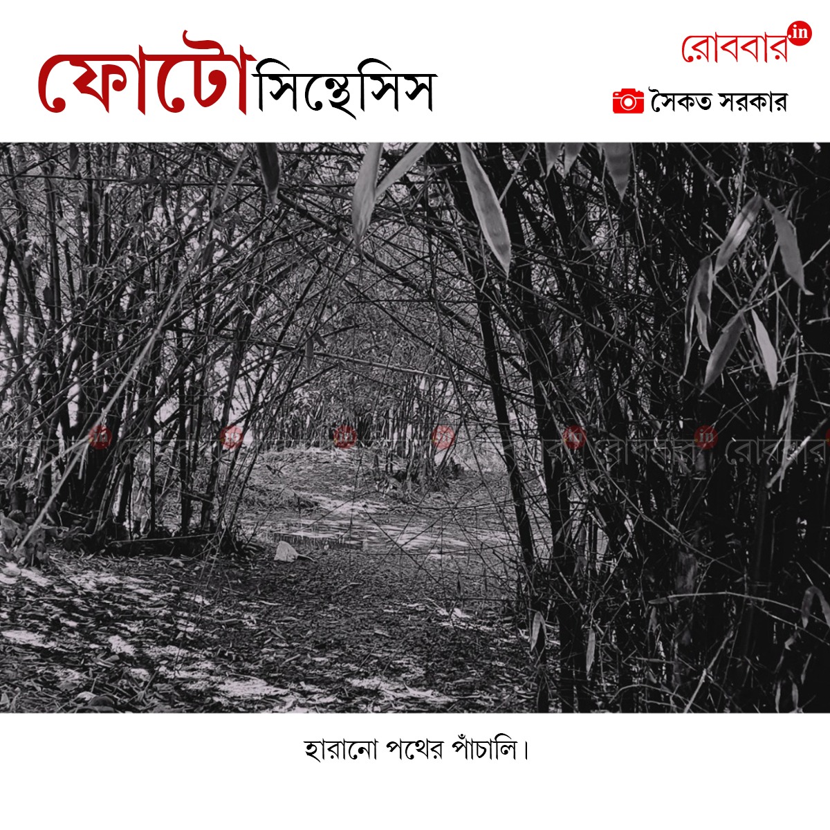 ফোটোসিন্থেসিস-921