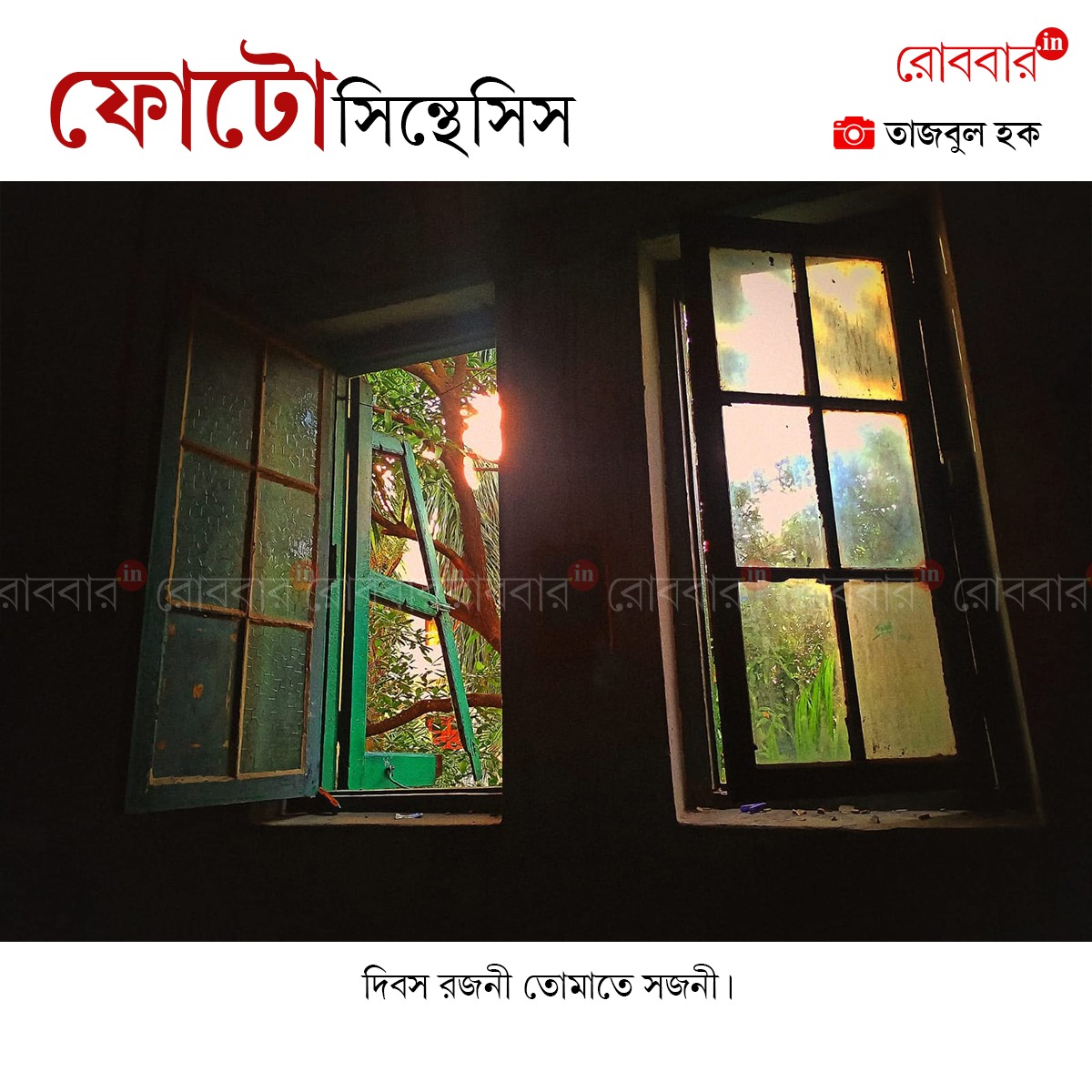ফোটোসিন্থেসিস-922
