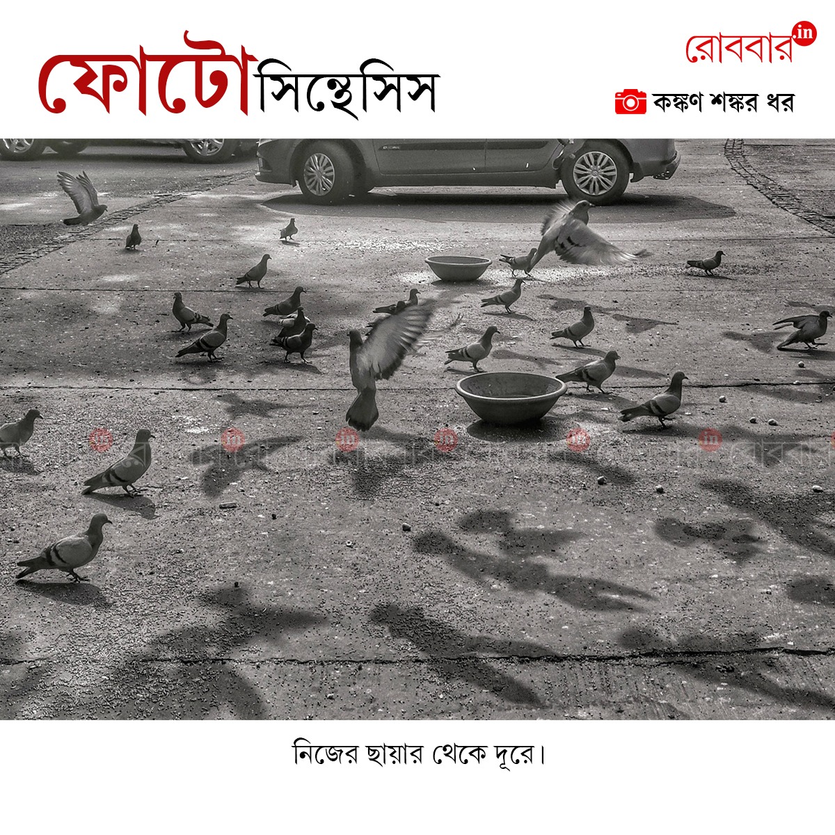 ফোটোসিন্থেসিস-923