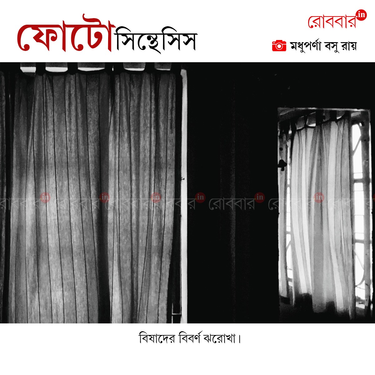 ফোটোসিন্থেসিস-925