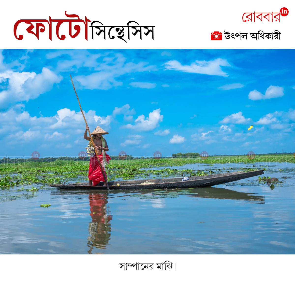 ফোটোসিন্থেসিস-926