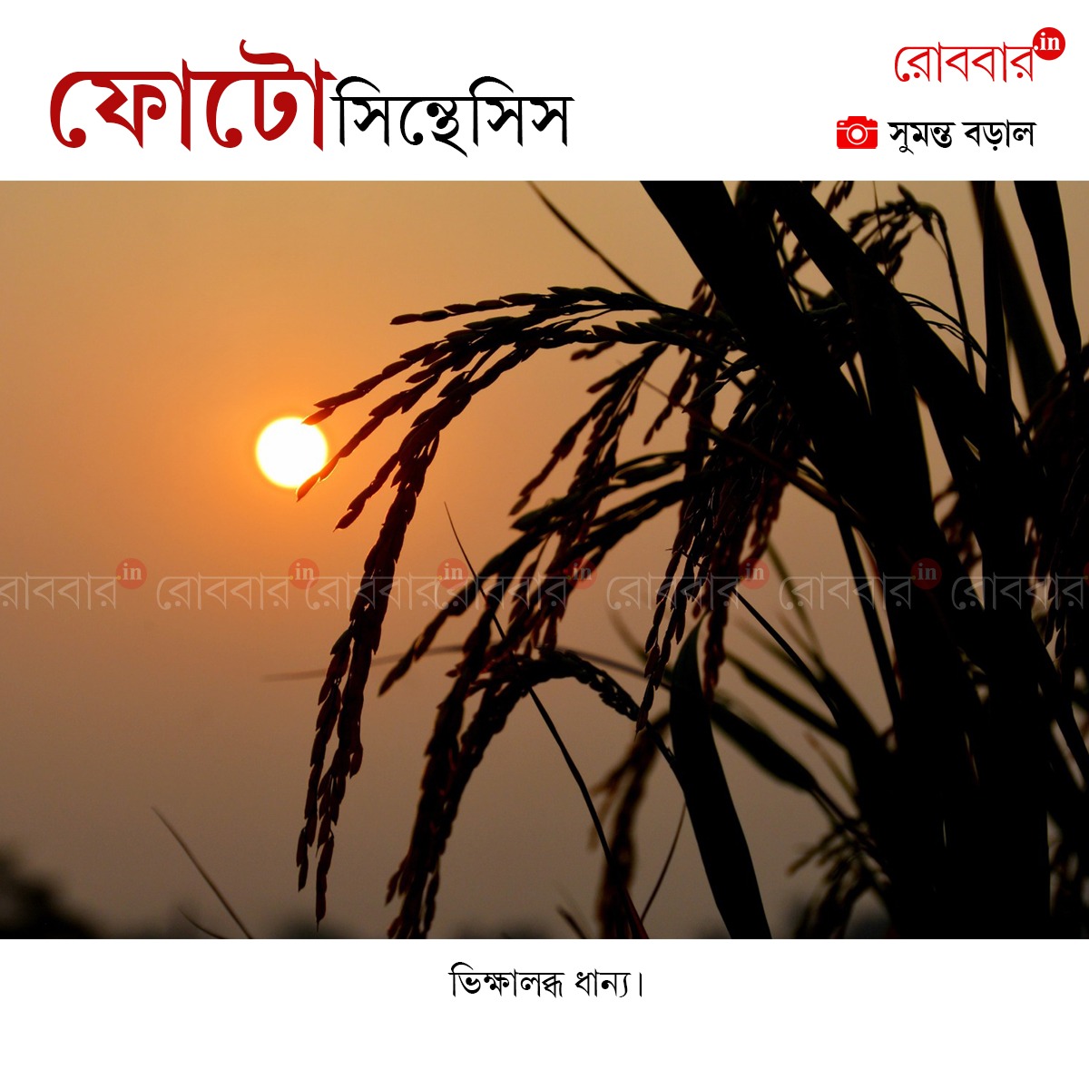 ফোটোসিন্থেসিস-928