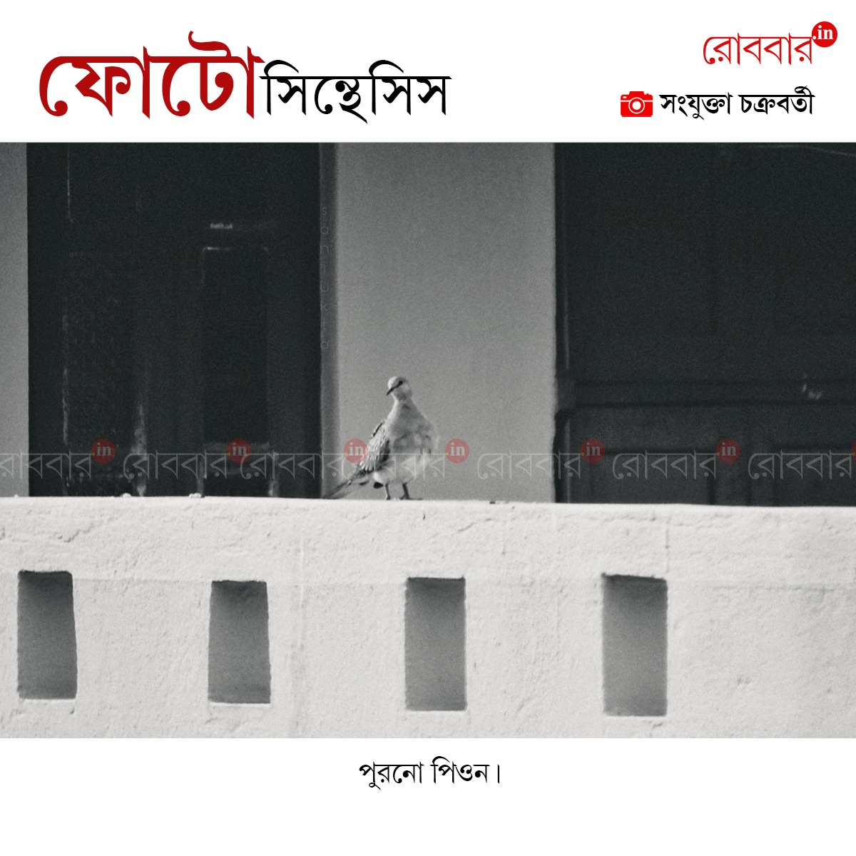 ফোটোসিন্থেসিস-931