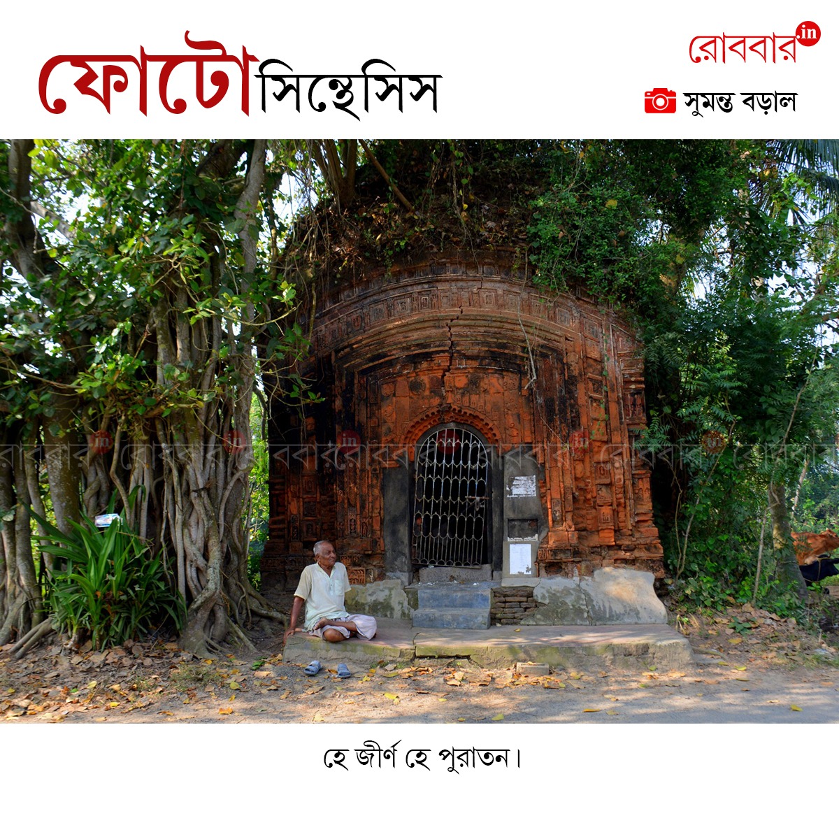 ফোটোসিন্থেসিস-934