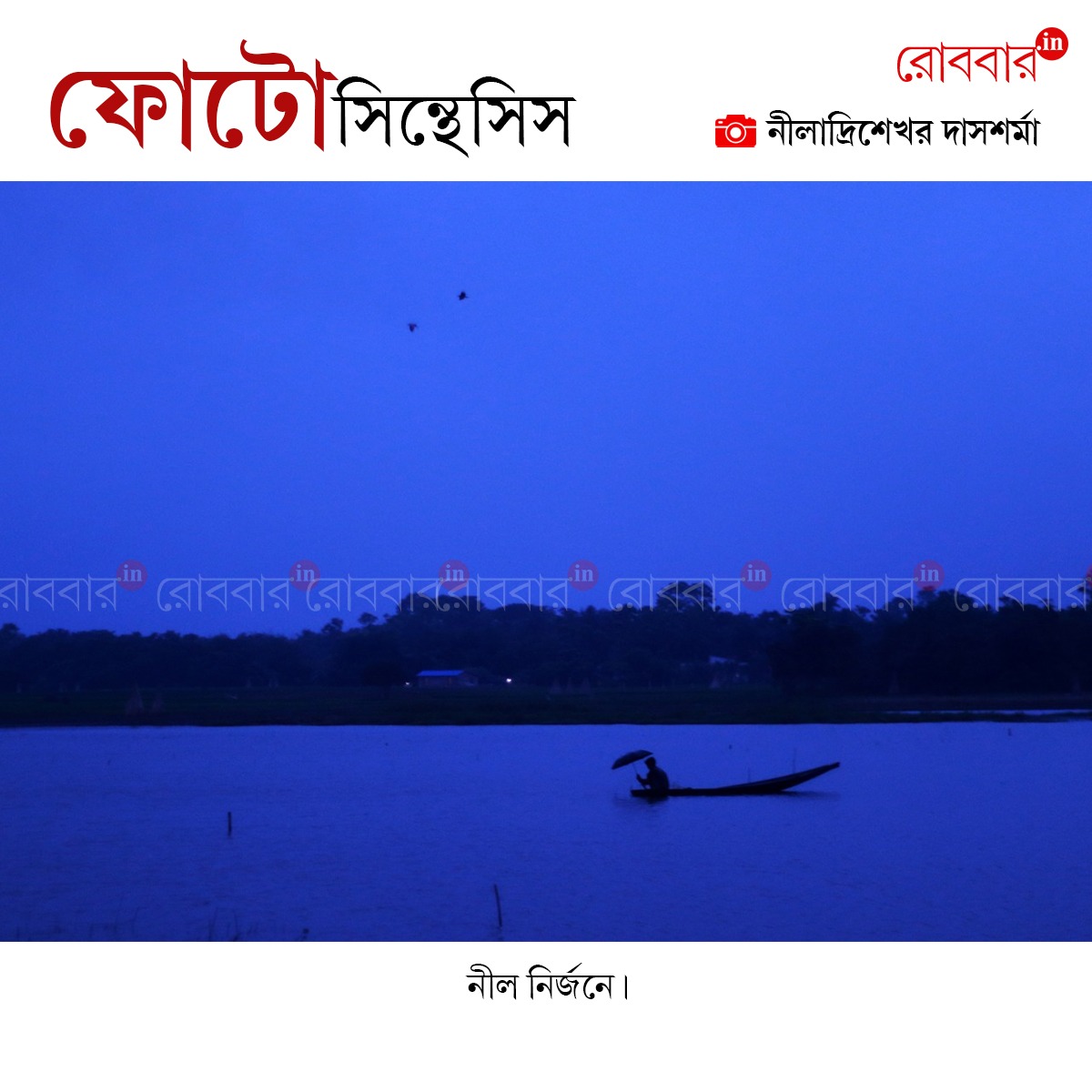 ফোটোসিন্থেসিস-935