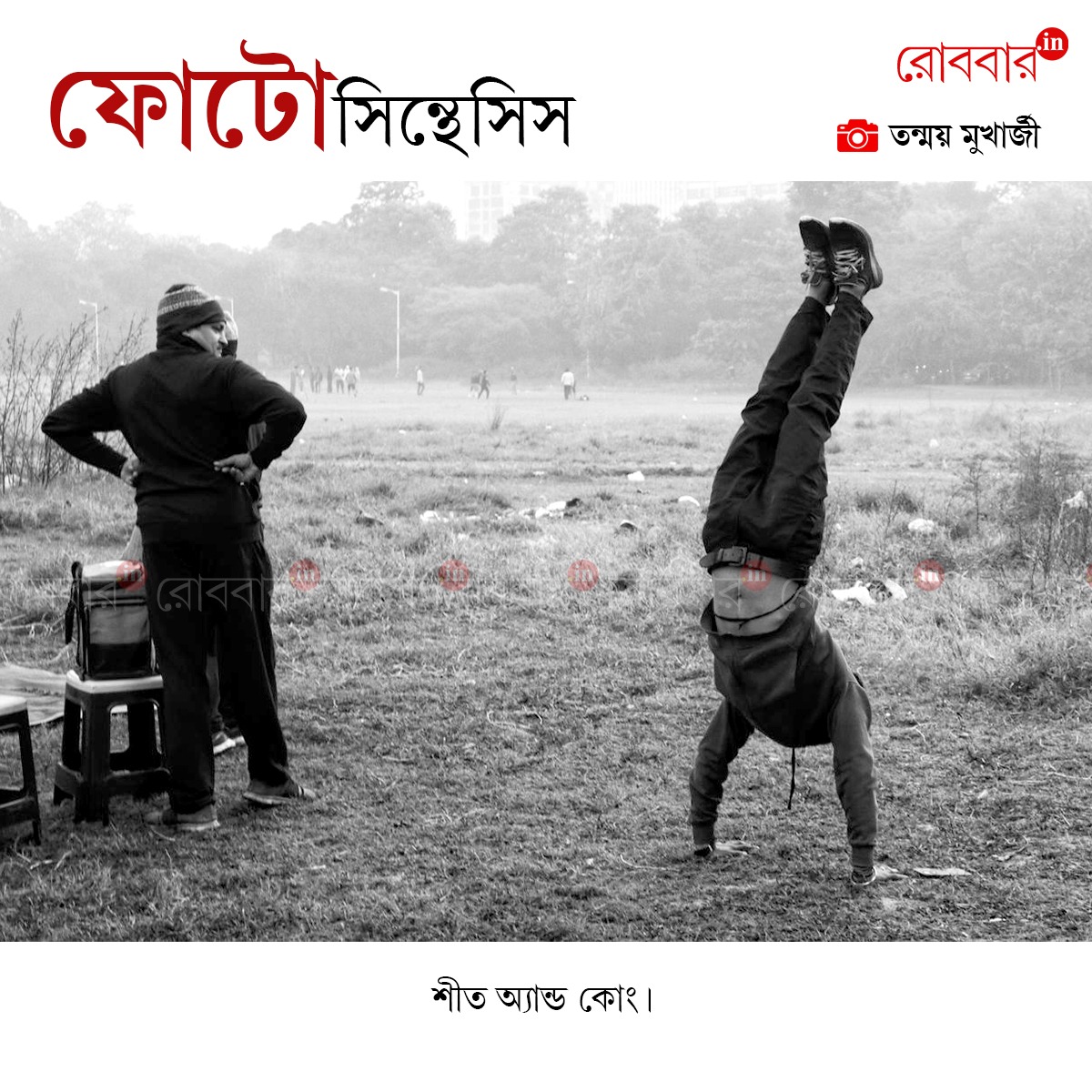 ফোটোসিন্থেসিস-938