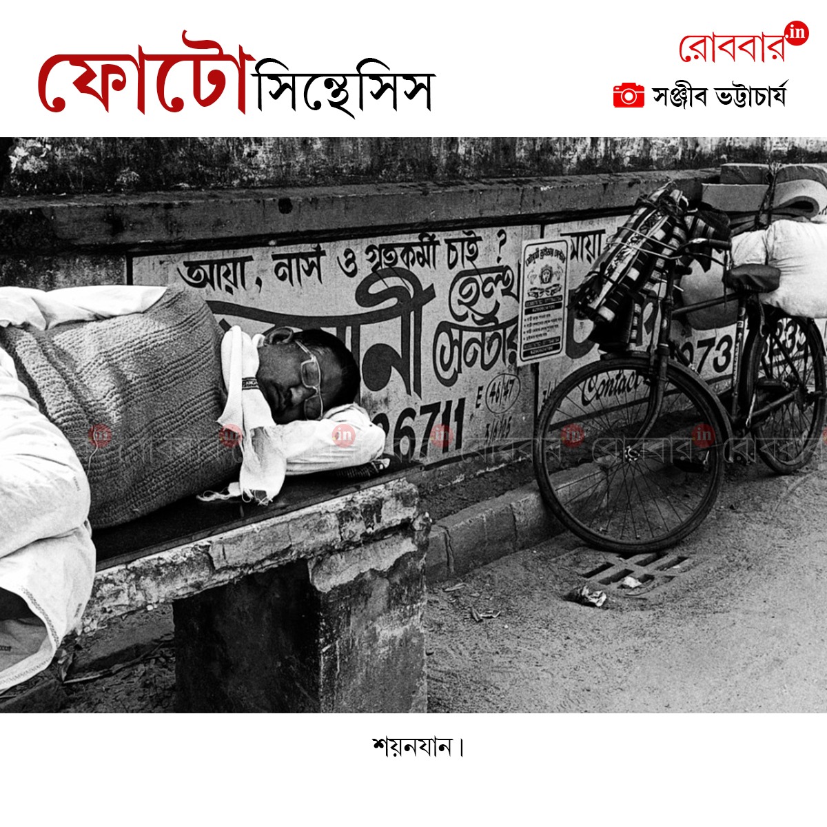 ফোটোসিন্থেসিস-941