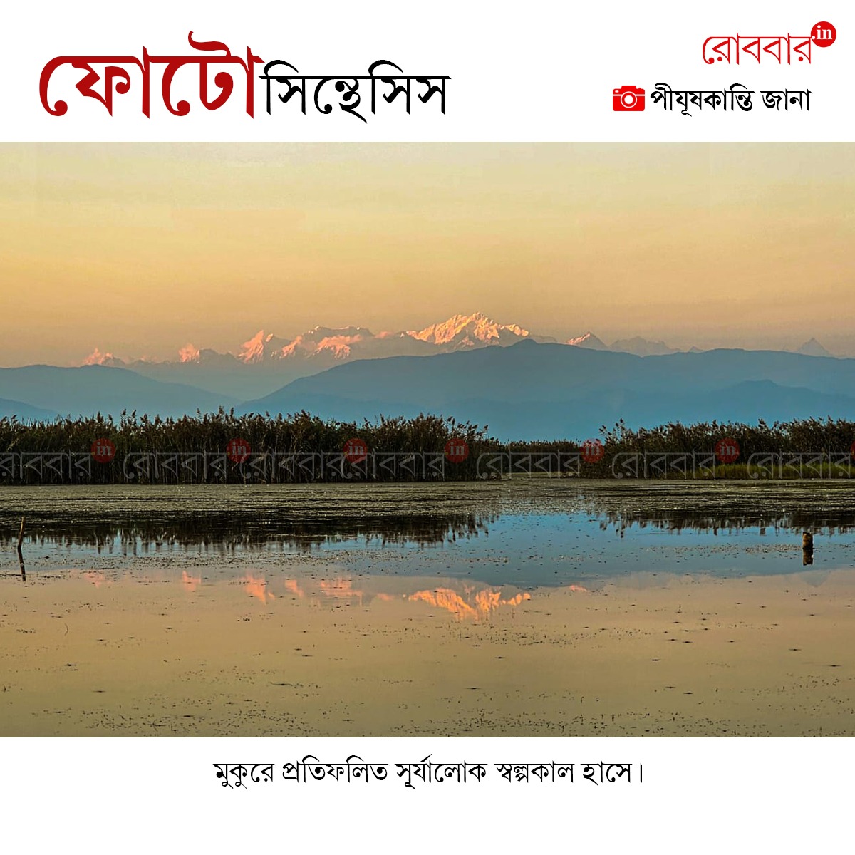 ফোটোসিন্থেসিস-942