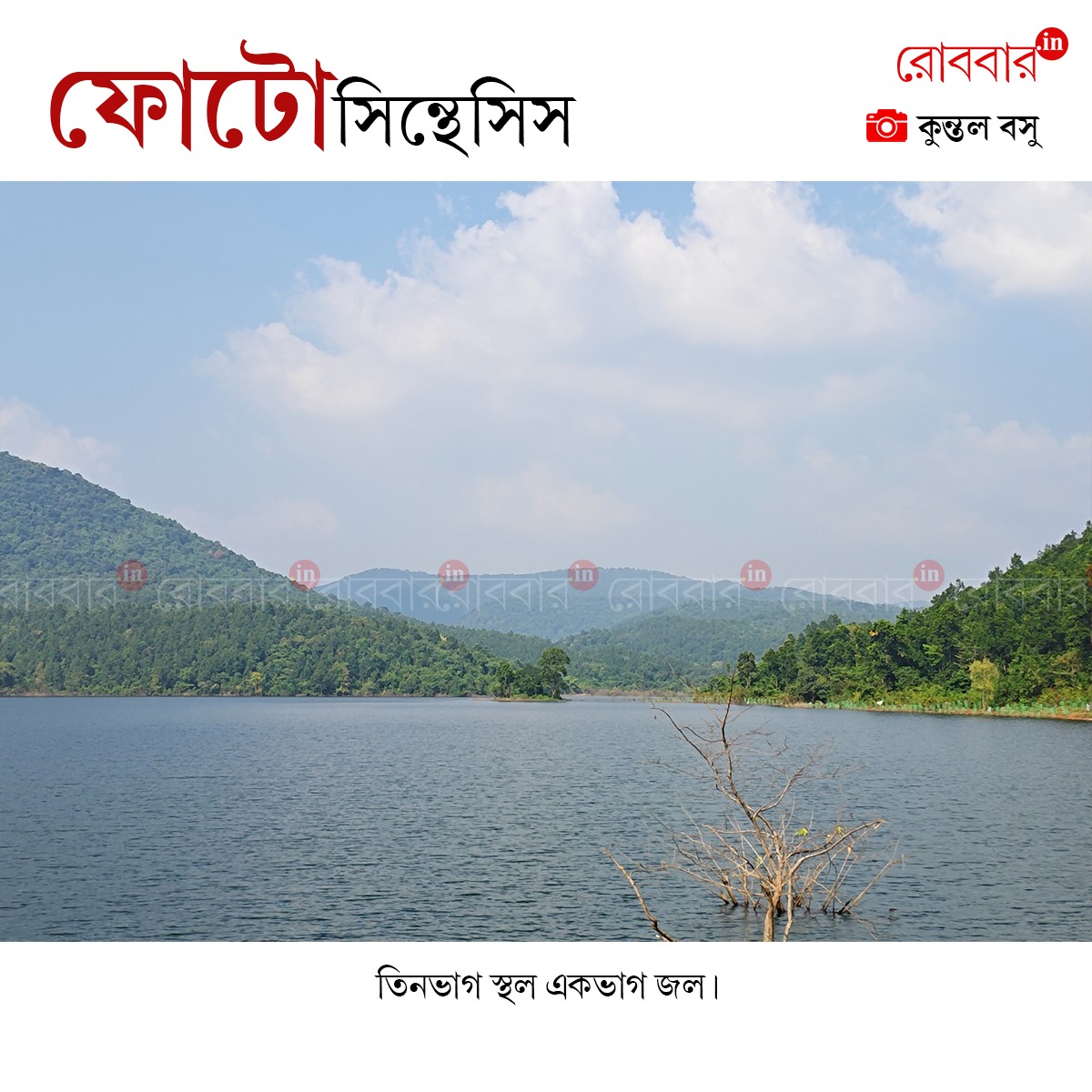 ফোটোসিন্থেসিস-943