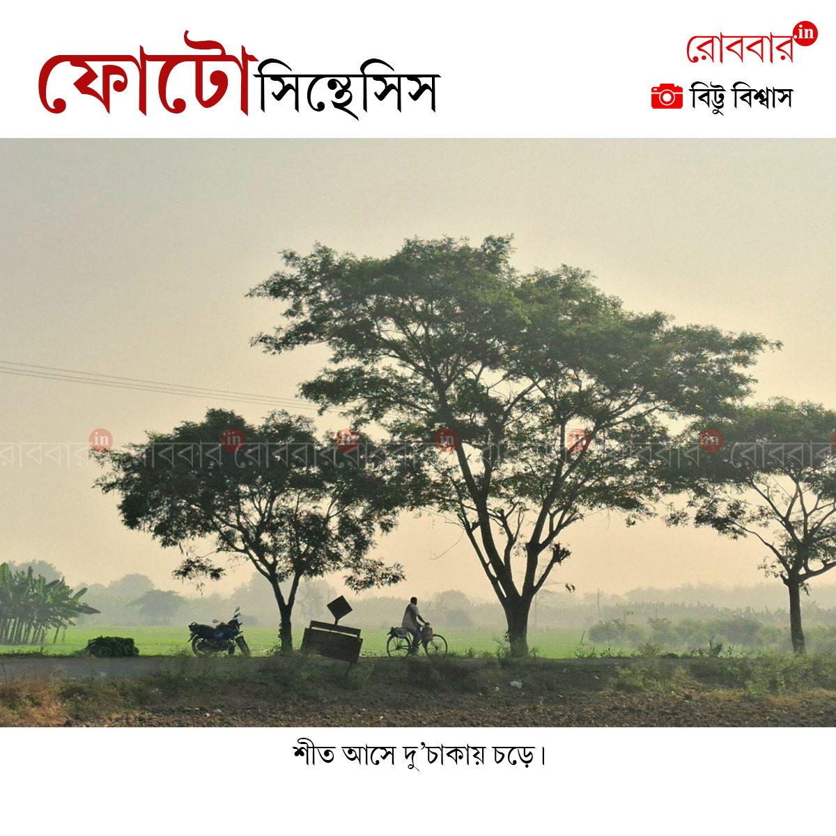 ফোটোসিন্থেসিস-945