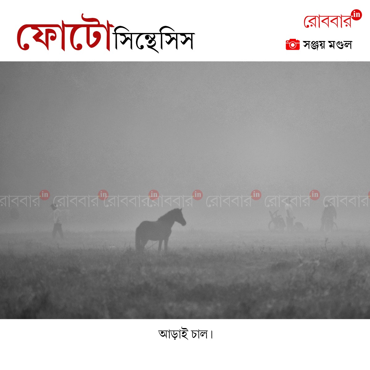 ফোটোসিন্থেসিস-946