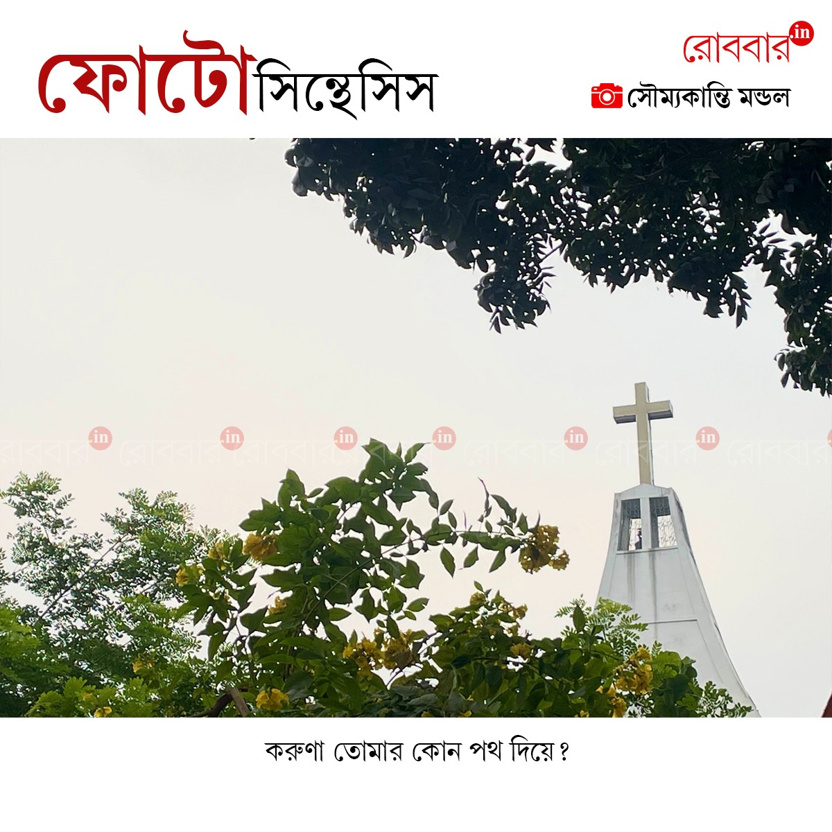 ফোটোসিন্থেসিস-947