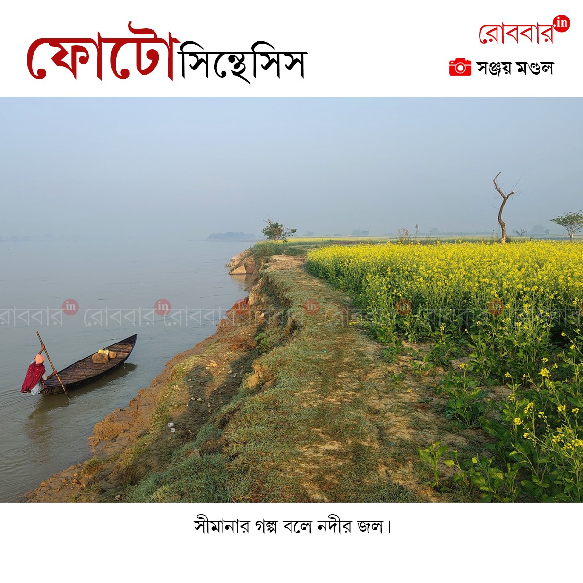 ফোটোসিন্থেসিস-948