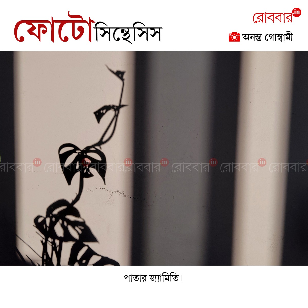 ফোটোসিন্থেসিস-949