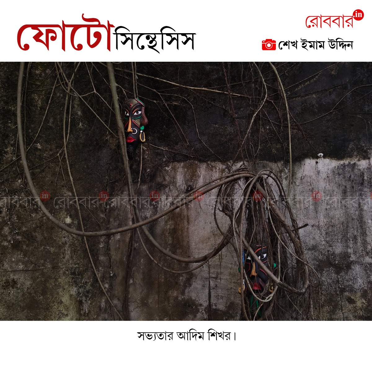 ফোটোসিন্থেসিস-953