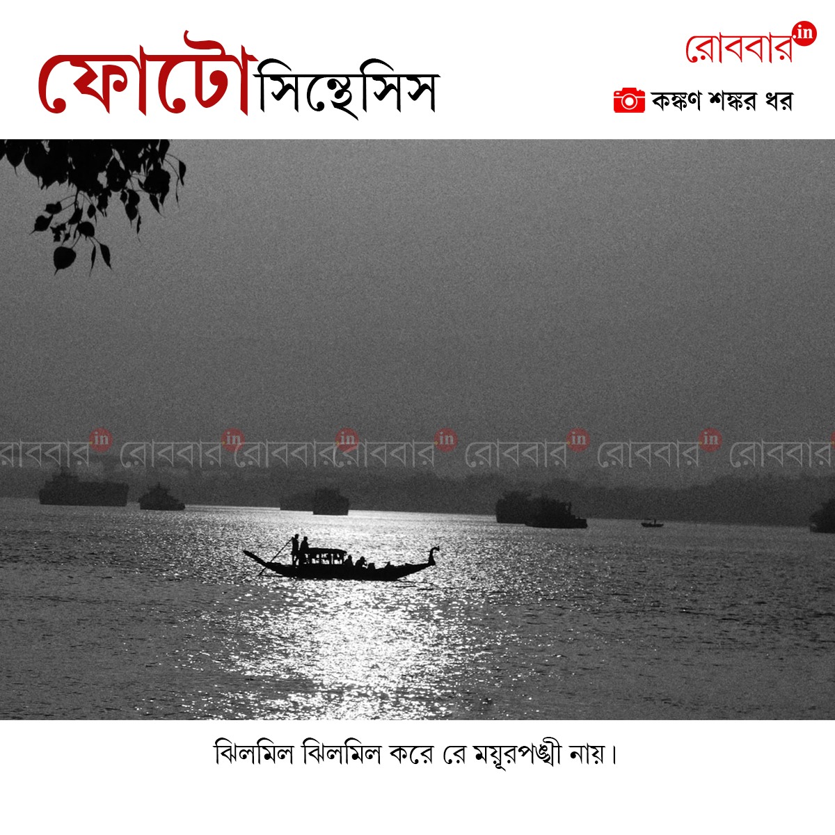 ফোটোসিন্থেসিস-956