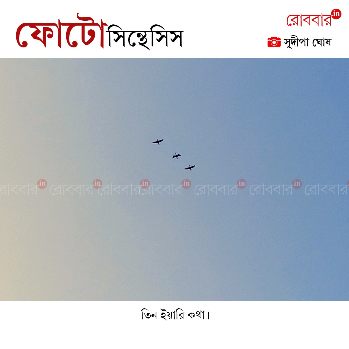 ফোটোসিন্থেসিস-957