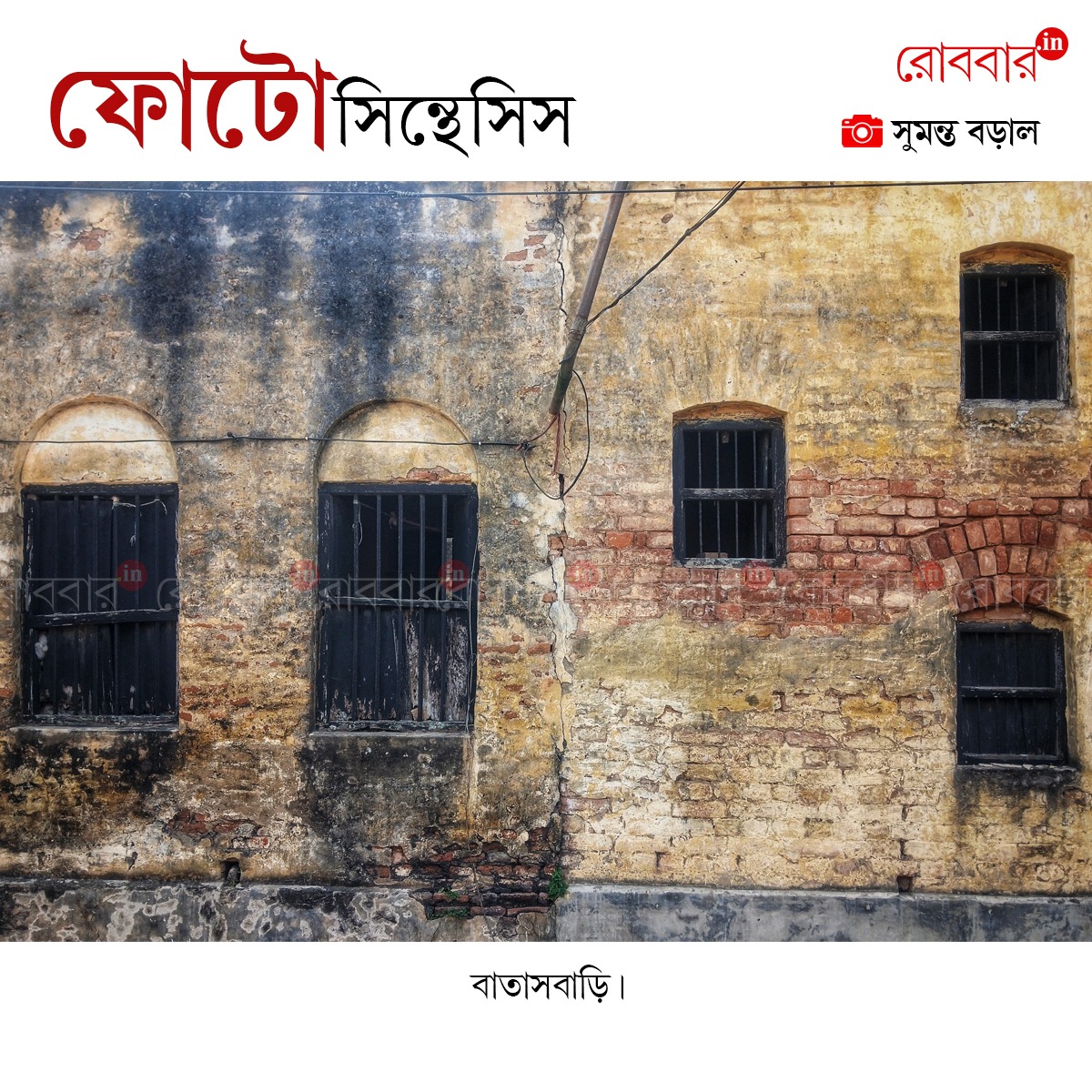 ফোটোসিন্থেসিস-960