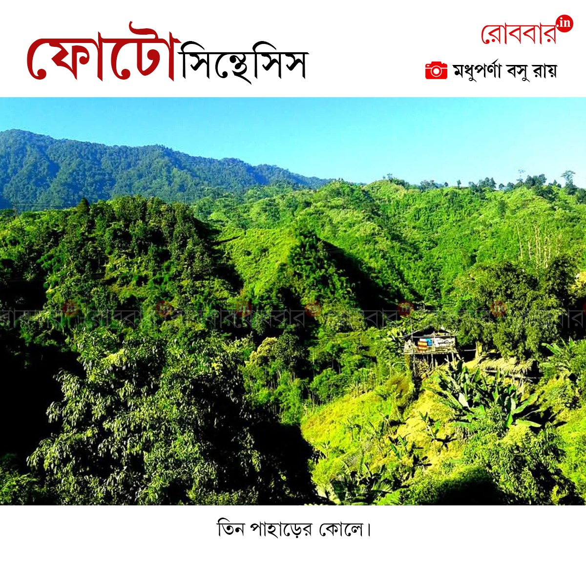 ফোটোসিন্থেসিস-964