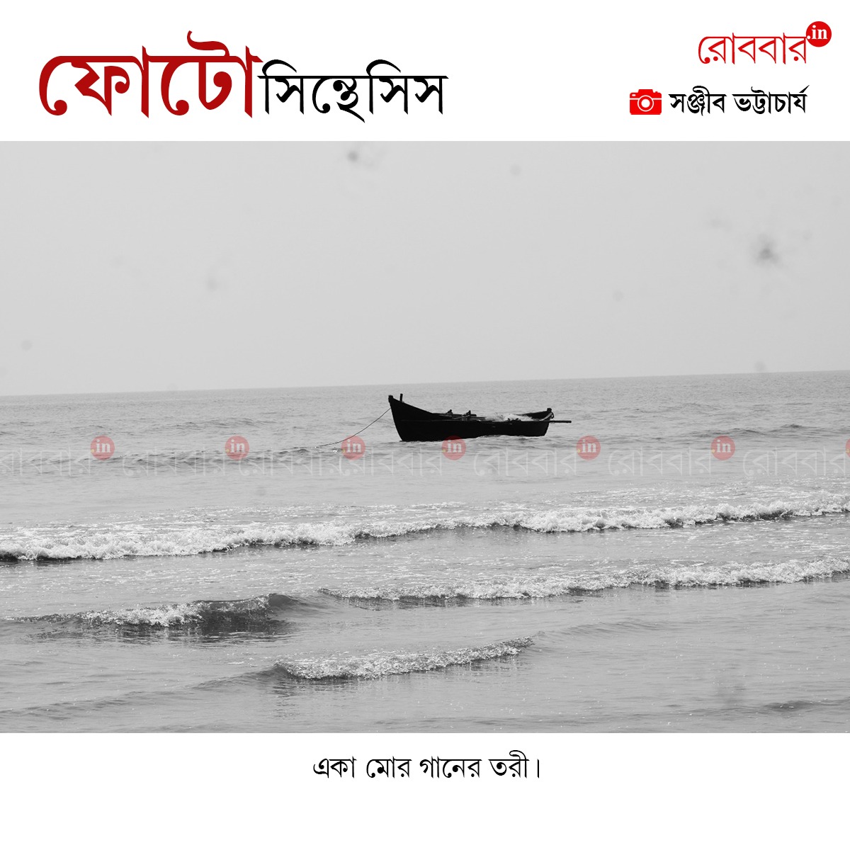 ফোটোসিন্থেসিস-966