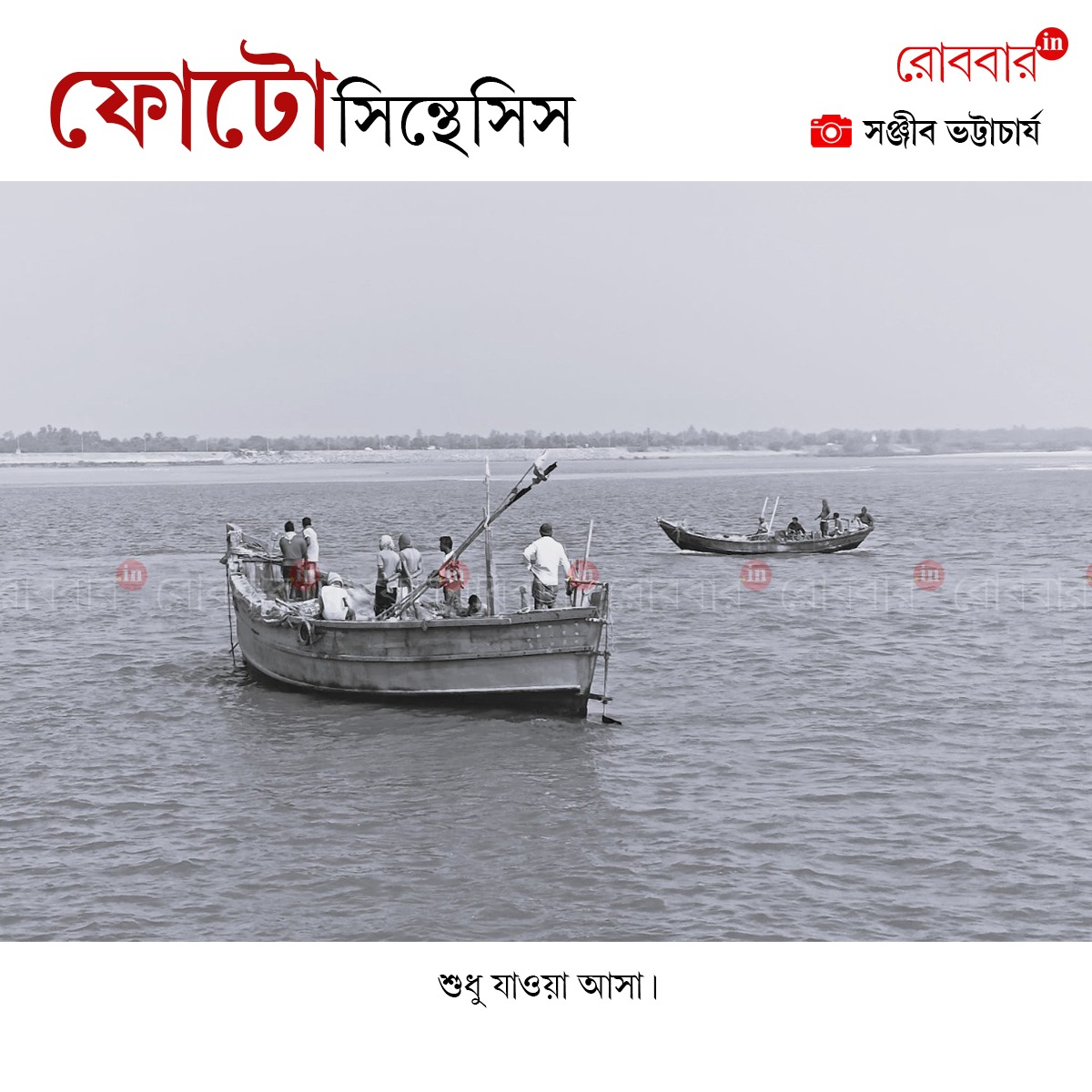 ফোটোসিন্থেসিস-970
