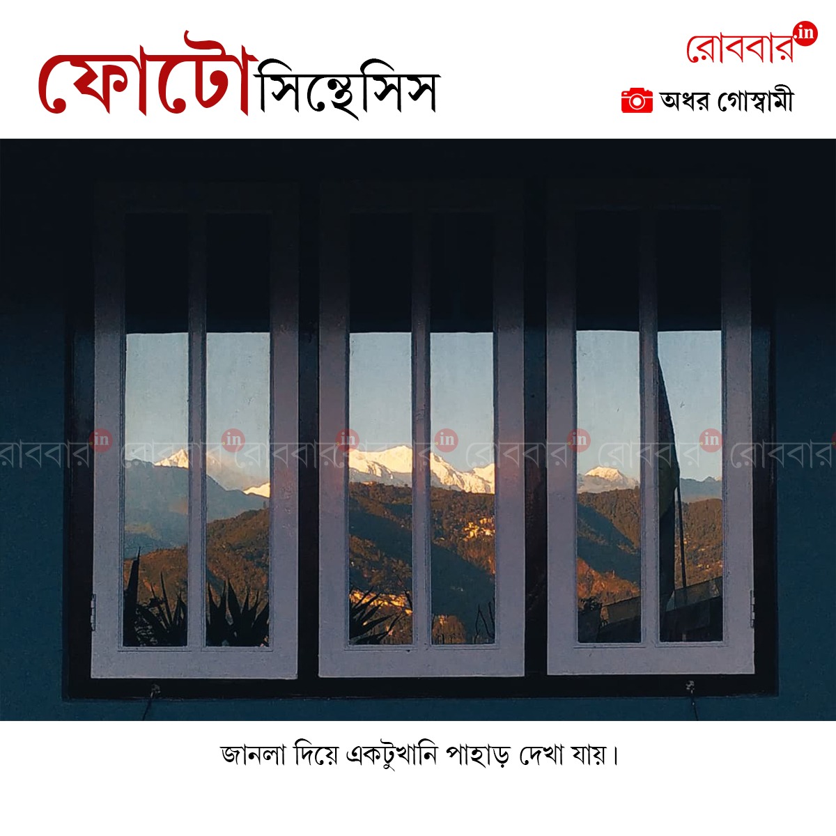 ফোটোসিন্থেসিস-972