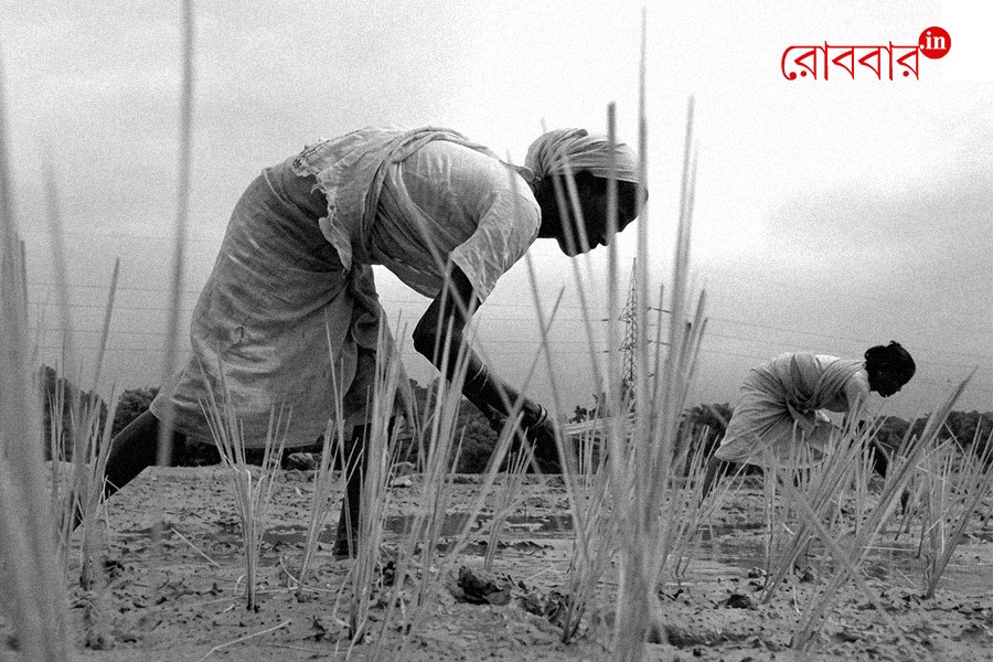 gender inequality and the role of women in agriculture। Robbar