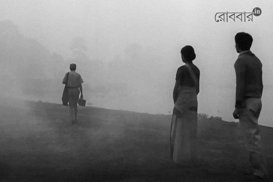 common friends who used to protect teenage affairs | Robbar