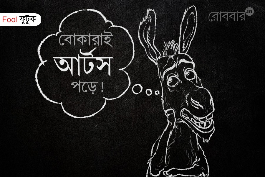 why do people think studying arts is foolish | Robbar