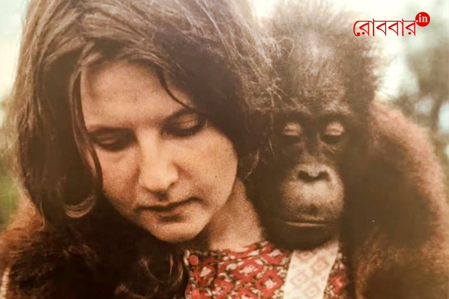 Biruté Galdikas and her life and research with orangutans | Robbar