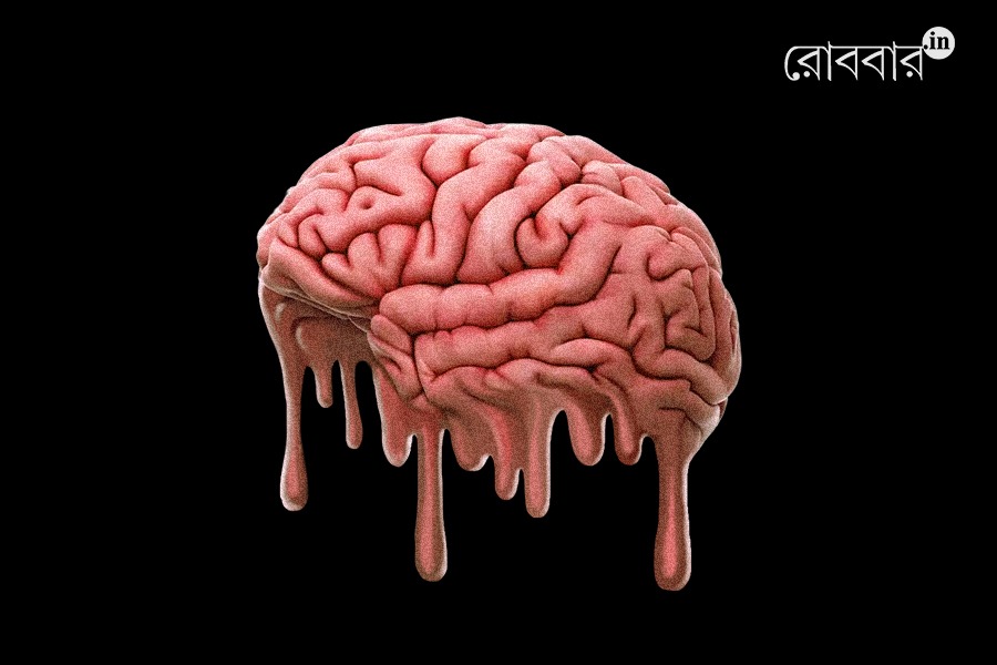 effect of heat wave and pollution on mental health | Robbar