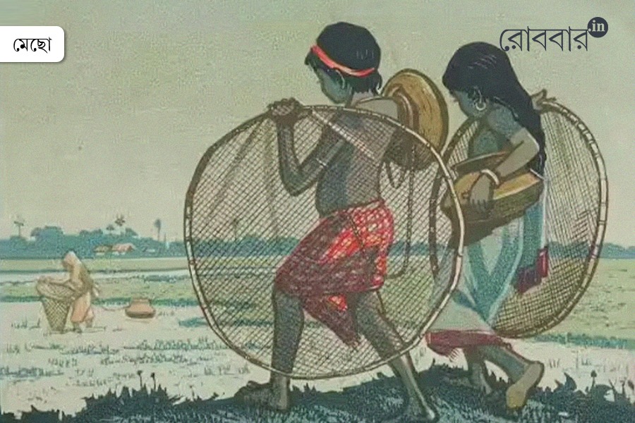 Haren Das’s Fish-Themed Art and the Soul of Bengal। Robbar