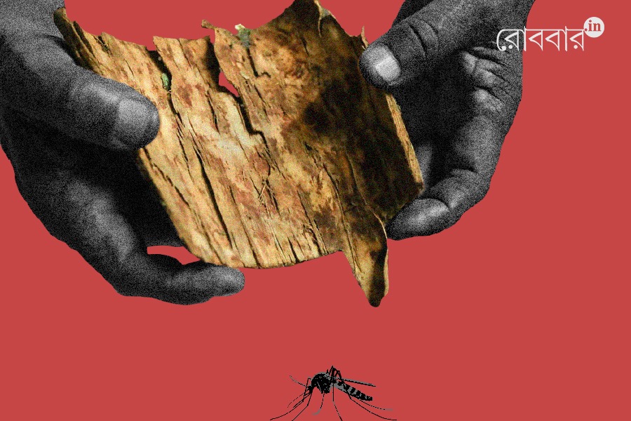 cinchona was first invented by Quechua tribes of peru | robbar