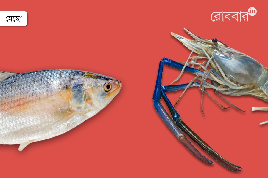 Politics on Plate: Why Fish Matters in Bengal’s Landscape | Robbar