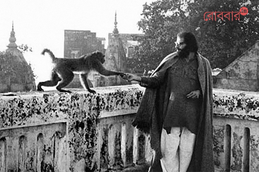 allen ginsberg & kolkata harvard speech by subodh sarkar | Robbar