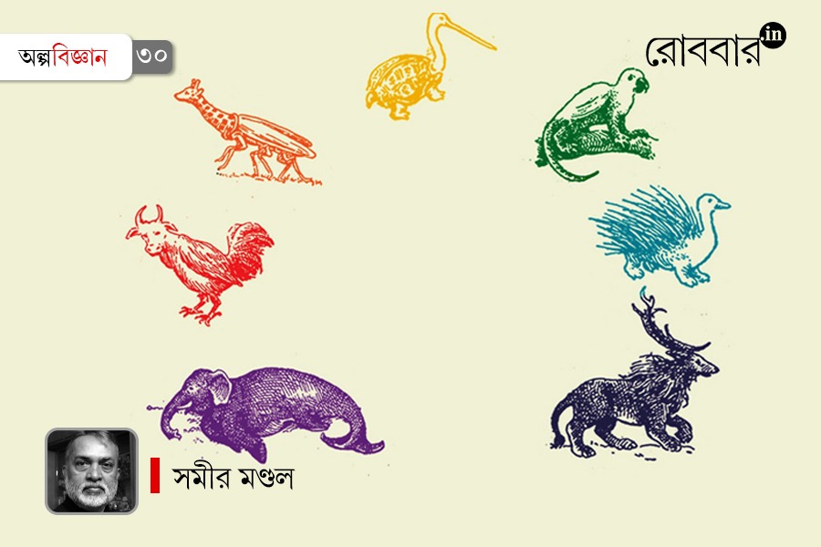 composite mixture of culture and its impacts | Robbar